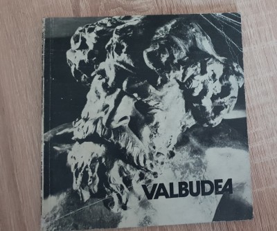 VALBUDEA - Adriana Botez foto