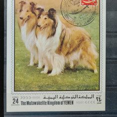 TS21 - Timbre serie Yemen - 1970 Colita - Caini