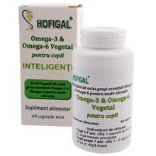 Omega 3 si Omega 6 Vegetal pentru Copii Hofigal 60cps Cod: 21398 foto