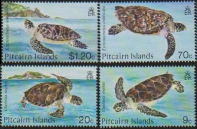 PITCAIRN - 1986 - BROASCA TESTOASA foto