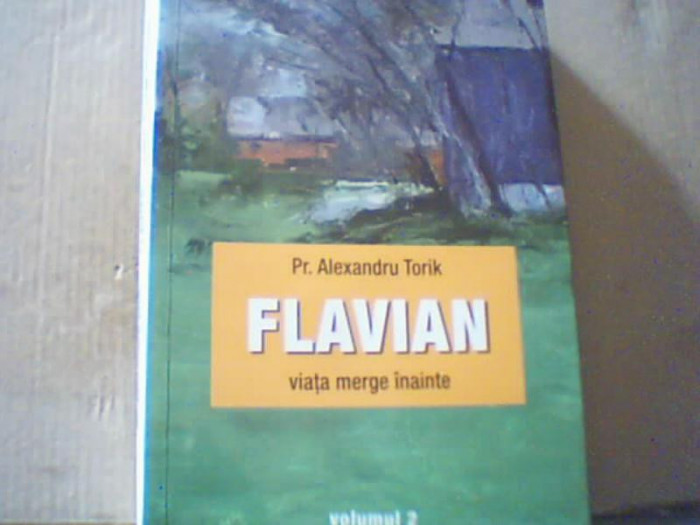 Pr. Alexandru Torik - Flavian ( volumul 2: Viata merge inainte ) / 2019