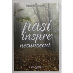 PASI INSPRE NECUNOSCUT de MIHAI M. CRISTEA , 2017