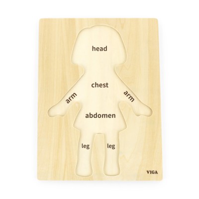 Puzzle Corpul uman - Fata 7 piese), Viga foto