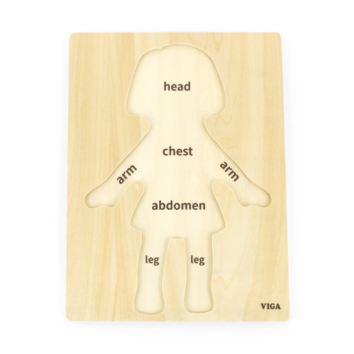 Puzzle Corpul uman - Fata 7 piese), Viga