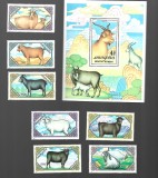 mongolia mnh