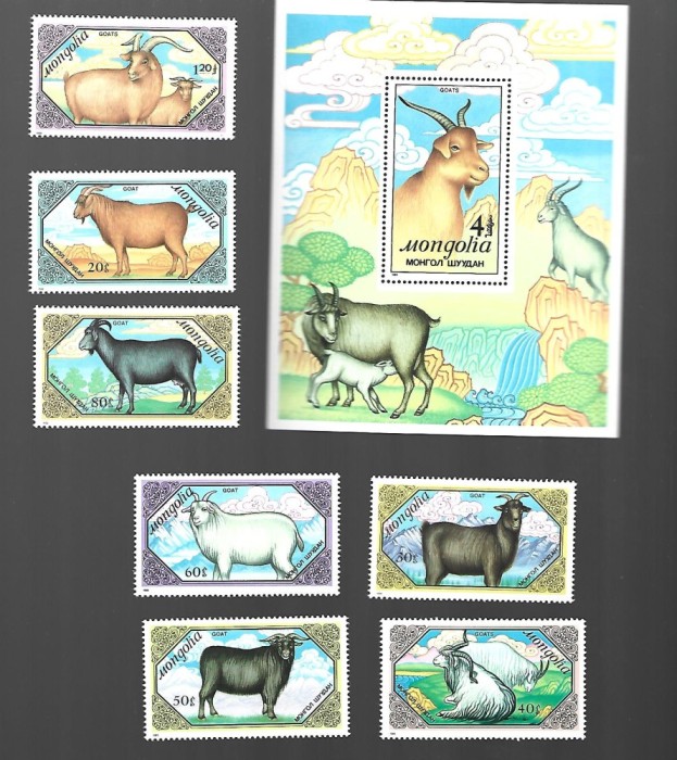 mongolia mnh