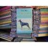 Dobermanul - Rasa de caini universala, Ioan Bud, 1998, 166 pag