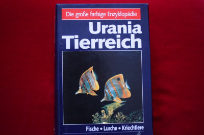 Urania Tierreich Fische Lurche Kriechtiere (pesti, amfibieni, reptile) foto