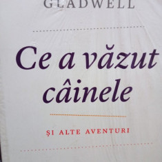 Malcolm Gladwell - Ce a vazut cainele si alte aventuri (editia 2012)