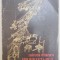 PROPRIETARUL DE PODURI (STAMPE EUROPENE) , ED. a - II - a de MIRCEA DINESCU , 1978