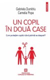 Un copil in doua case - Gabriela Dumitriu, Camelia Popa - Polirom
