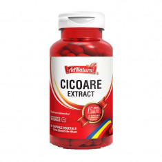 Cicoare Extract 60 capsule Adnatura