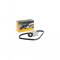 Set Curea transmisie CITROEN BERLINGO B9 CONTITECH 6PK976K1