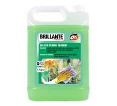 Detergent profesional pentru geamuri Brillante, 5L 151089 foto