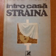 Intr-o casa straina - Teodor Mazilu