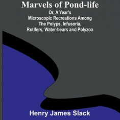 Marvels of Pond-life; Or, A Year's Microscopic Recreations Among the Polyps, Infusoria, Rotifers, Water-bears and Polyzoa