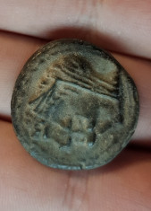 Moneda antica Nabatea (Petra), diam 28 mm foto