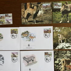 tajikistan - pesti - serie 4 timbre MNH, 4 FDC, 4 maxime, fauna wwf