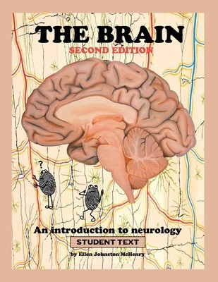 The Brain; Student text foto