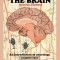 The Brain; Student text