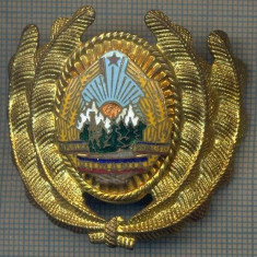 Y 1589 INSIGNA-MILITARA-EMBLEMA COIFURA- OFITER -RSR -PENTRU COLECTIONARI