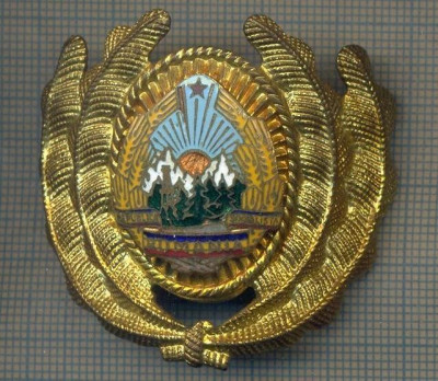 Y 1589 INSIGNA-MILITARA-EMBLEMA COIFURA- OFITER -RSR -PENTRU COLECTIONARI foto