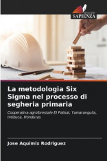 La metodologia Six Sigma nel processo di segheria primaria foto