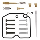 Kit reparatie carburator; pentru numarul de carburatoare 1 (pentru uz sportiv) pentru ARCTIC CAT ARCTIC CAT 650 2005-2006