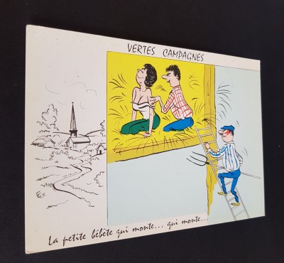 Desen Hilar - Carte Poștală Umoristică Franțuzească. Verte Campagnes - La Petite B&amp;eacute;b&amp;eacute;te foto