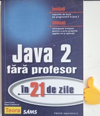Java 2 fara profesor in 21 de zile Laura Lemay, Rogers Cadenhead