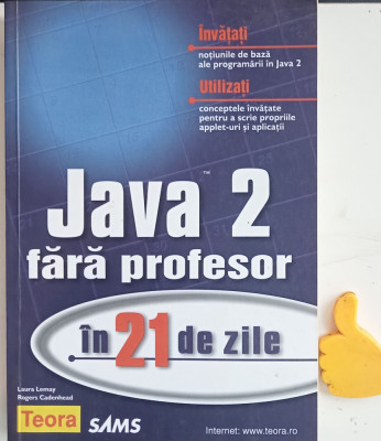 Java 2 fara profesor in 21 de zile Laura Lemay, Rogers Cadenhead foto