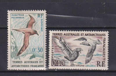 ANTARTICA 1959 FAUNA MI. 14 ;16 MNH foto