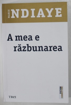A MEA E RAZBUNAREA de MARIE NDIAYE , 2023 foto