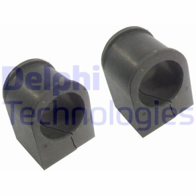 Delphi Bucsa, bara stabilizatoare foto