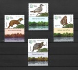 ROMANIA 2023 - PARCUL NATURAL VACARESTI, VINIETA DIN COALA DE POSTA - LP 2434