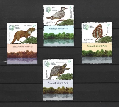 ROMANIA 2023 - PARCUL NATURAL VACARESTI, VINIETA DIN COALA DE POSTA - LP 2434 foto