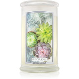 Kringle Candle Succulents lum&acirc;nare parfumată 624 g