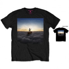 Pink Floyd The Endless River back print (tricou)