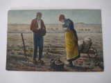 FELICITARE NATURA MOARTA BINECUVANTARE RECOLTA AGRICULTURA