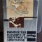 DIAGNOSTICUL ECOGRAFIC IN OBSTETRICA SI GINECOLOGIE - DAN VINTI