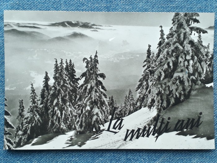 433 - Peisaj de iarna la munte / carte postala circulata 1966