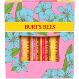 Burt&rsquo;s Bees In Full Bloom set &icirc;ngrijire buze