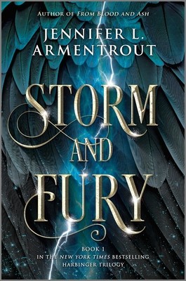 Storm and Fury foto