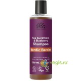 Sampon cu Fructe de Padure Nordice Bio 250ml