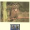 Aland 1996 - Bufnițe, set WWF, 6 poze, MNH (vezi descrierea)