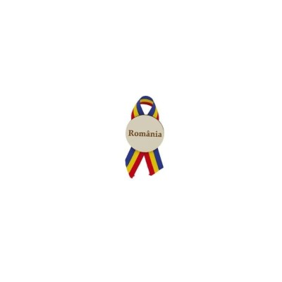 Insigne Ziua Romaniei foto