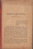 HST 55SP Daco-rom&auml;nische Sprachforschung 1890 Simeon Mangiuca