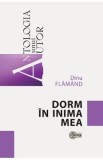 Dorm in inima mea - Dinu Flamand