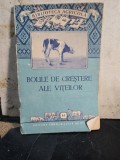 Bolile de creștere ale vițeilor -