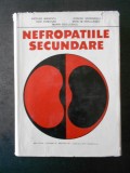 NICOLAE MANESCU, LEONIDA GEORGESCU - NEFROPATIILE SECUNDARE